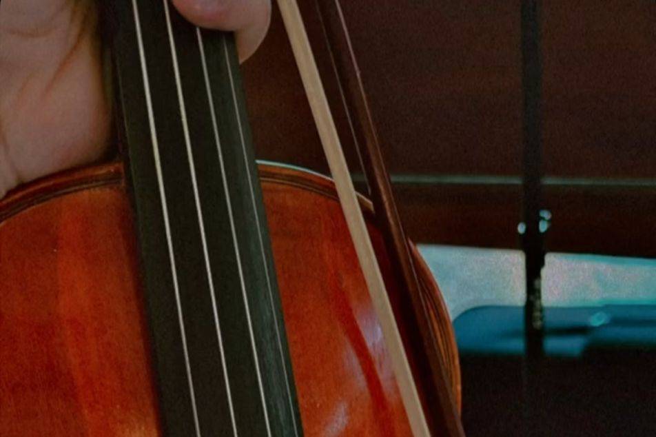 Violín