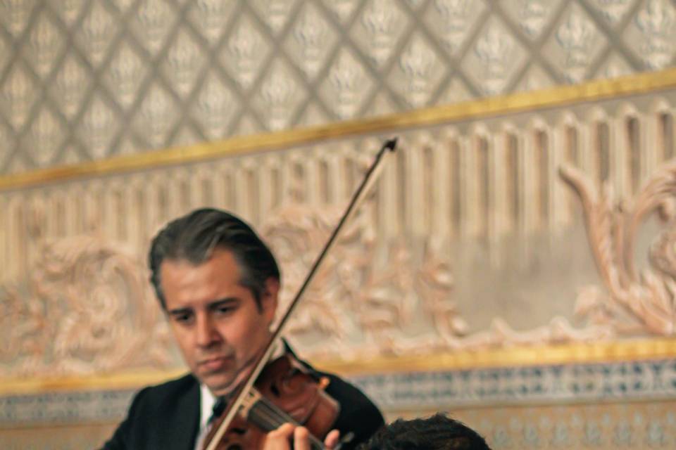 Violín y Órgano