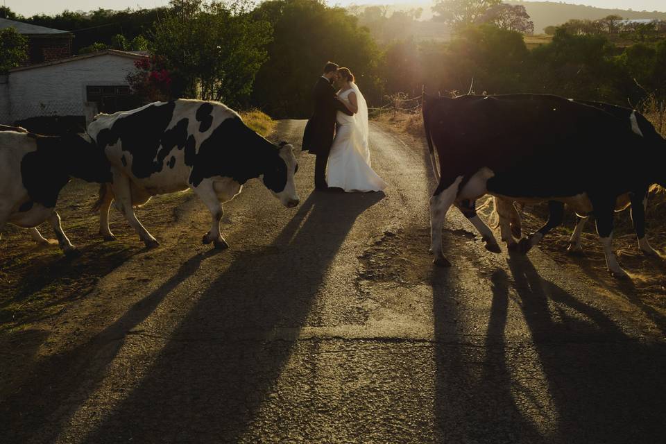 Bodas de Desrtino