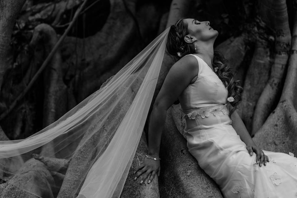 Trash The Dress