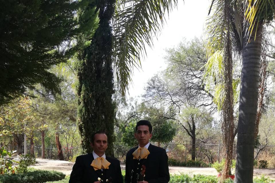 Mariachi Voces Del Bajío