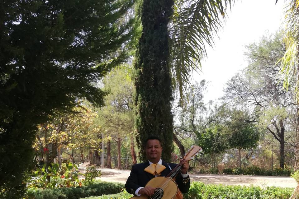 Mariachi Voces Del Bajío