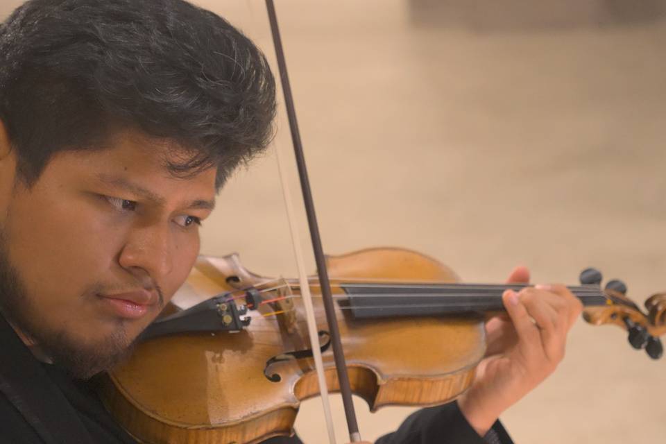 Violín solo