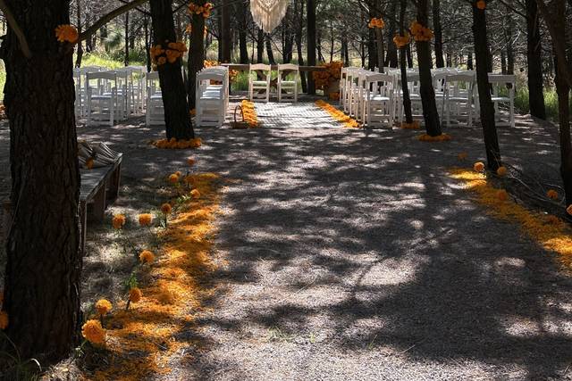 Ceremonia en el bosque