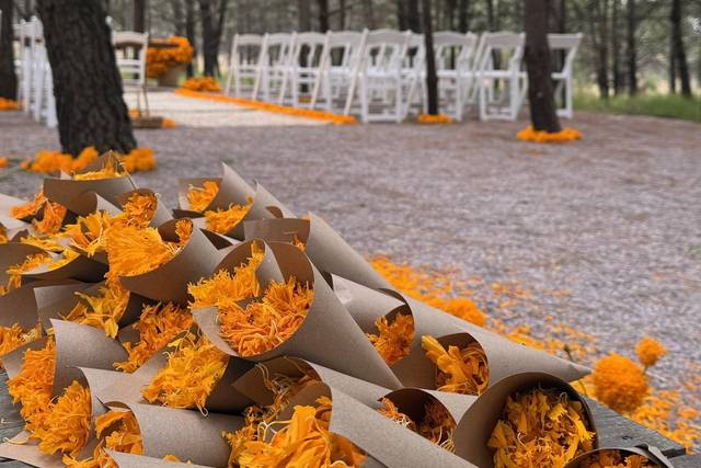 Ceremonia en el bosque