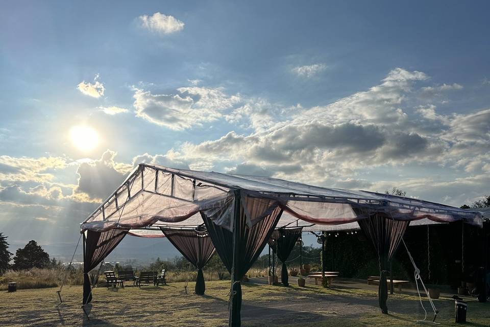 Carpa cristal