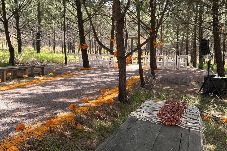 Ceremonia en el bosque