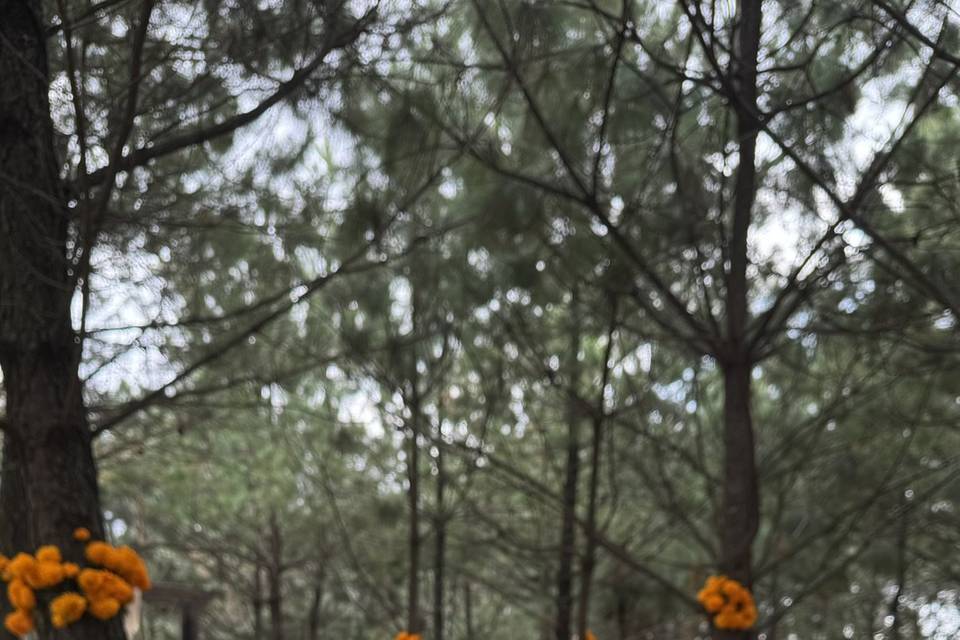 Ceremonia en el bosque