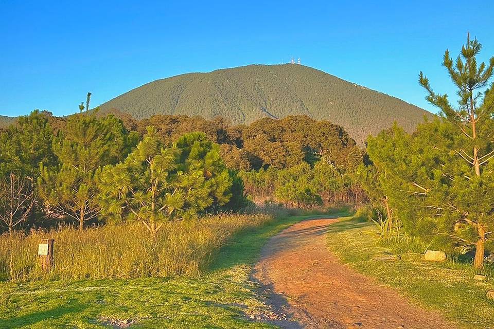 Vista a la montaña