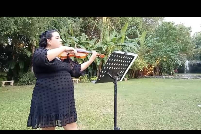 Boda civil violin con pistas