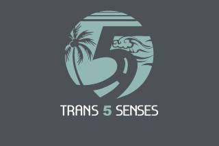 Trans5senses
