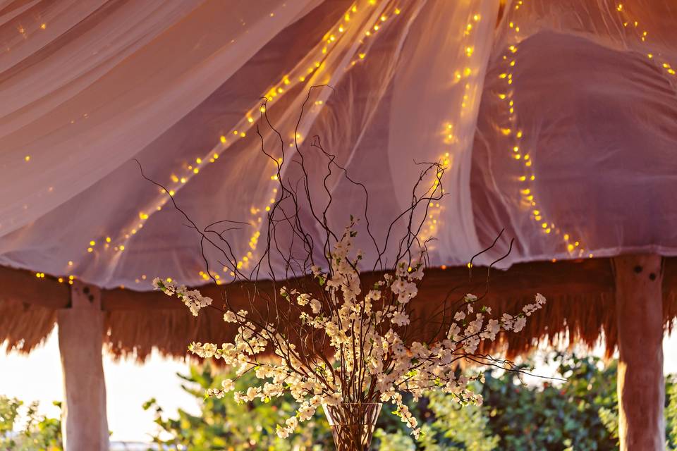 Quetzal Wedding Photo