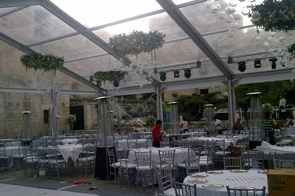 Carpas de cristal