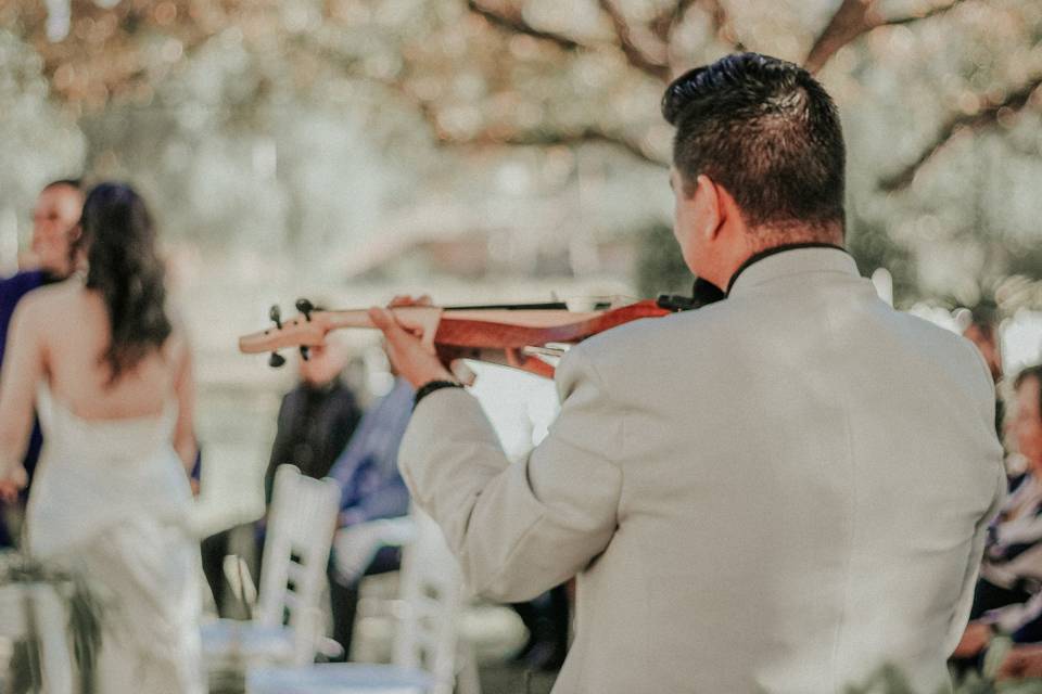 Mike Villalobos - Violinista