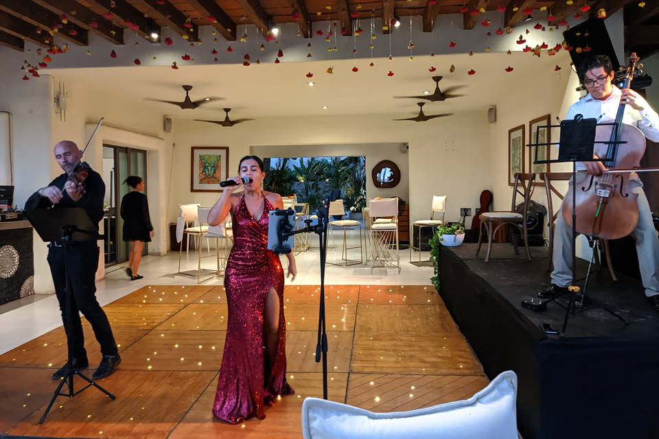 Pop acoustico