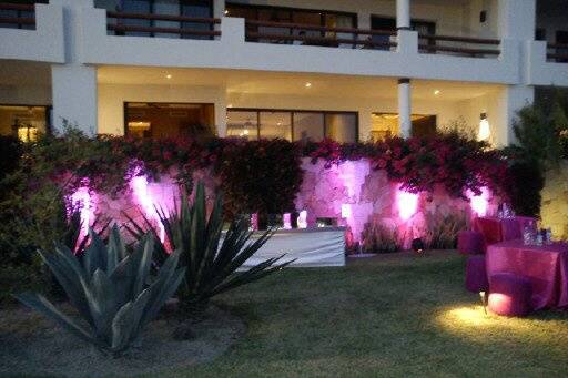 Luces decorativas