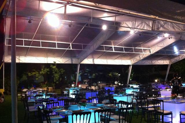 Carpas cristal