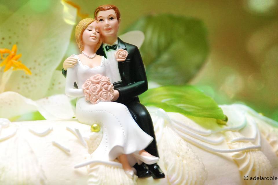 Los novios del pastel