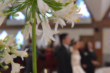 Fotografia profesional