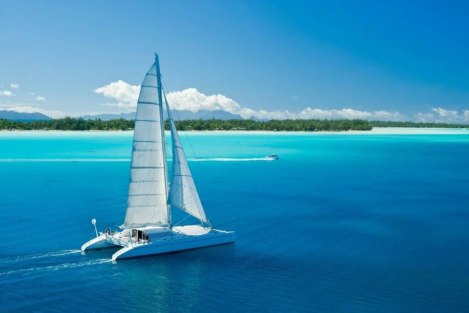 Unique Catamarán