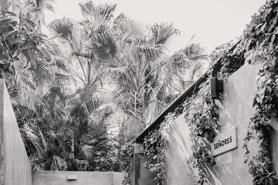 Boda en Los Cabos