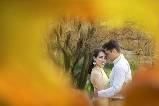 Novios