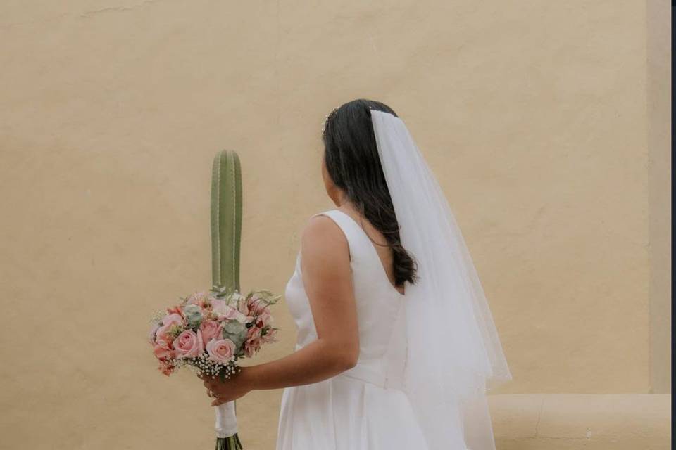 Novia Vanessa