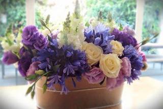 Auma Diseño Floral