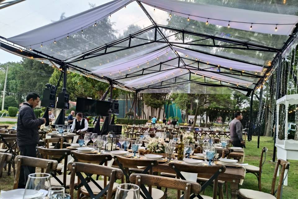 CARPA TRANS PARENTE