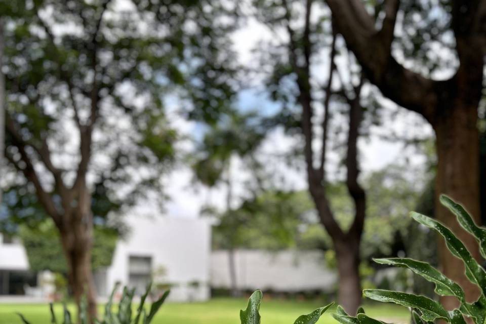 Espacio para celebrar