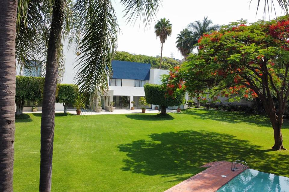 Bajo las palmeras