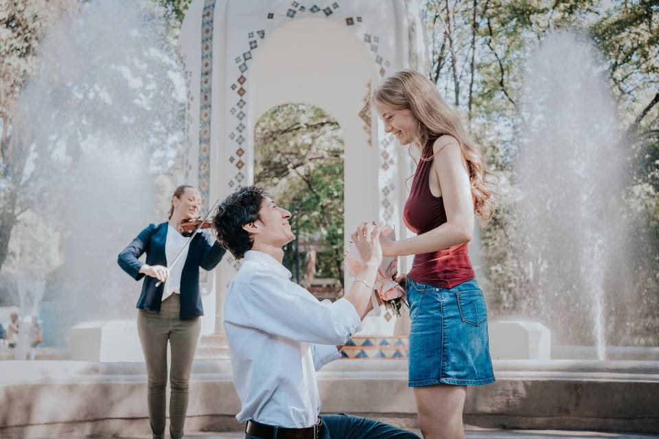 The Proposal Experience | Pedi