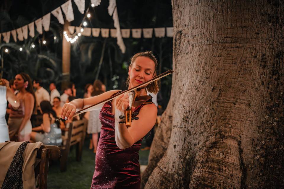 Polina Violin | Hacienda San G