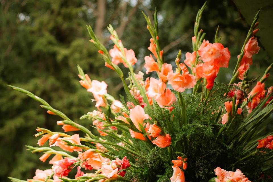 Flores