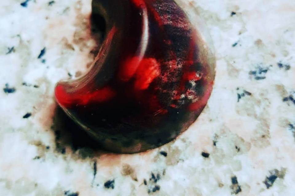 Chocolate frutos rojos