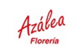 Azalea Floristas