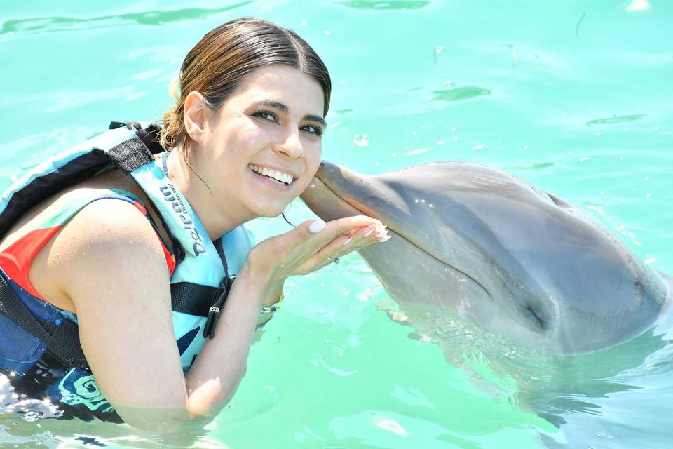 Tours y actividades