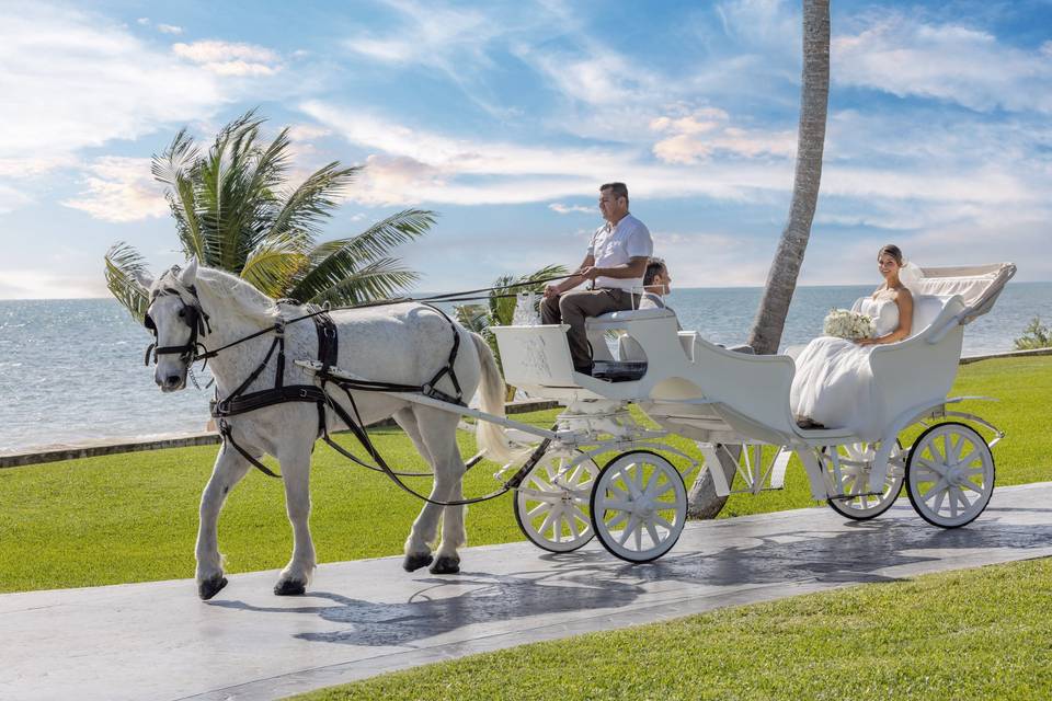 Moon palace cancún