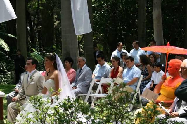 Bodas