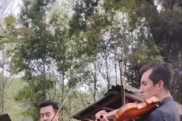Bodas