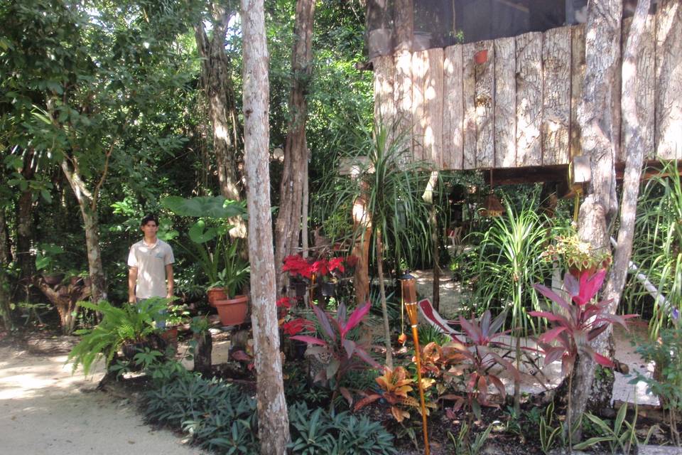 Cenote para ceremonias y celebraciones nupciales