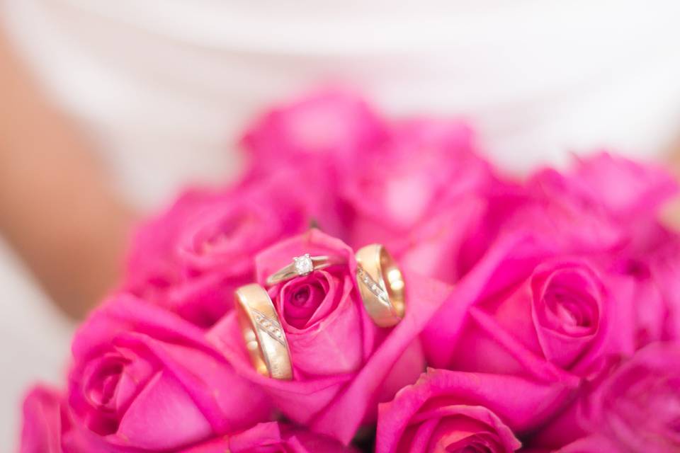 Anillos