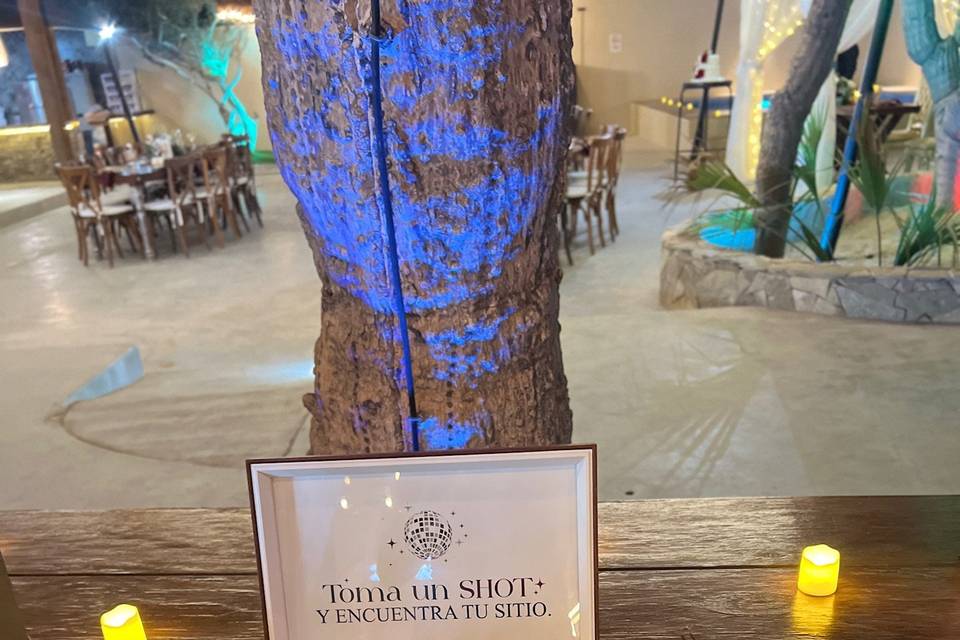 Boda CyF