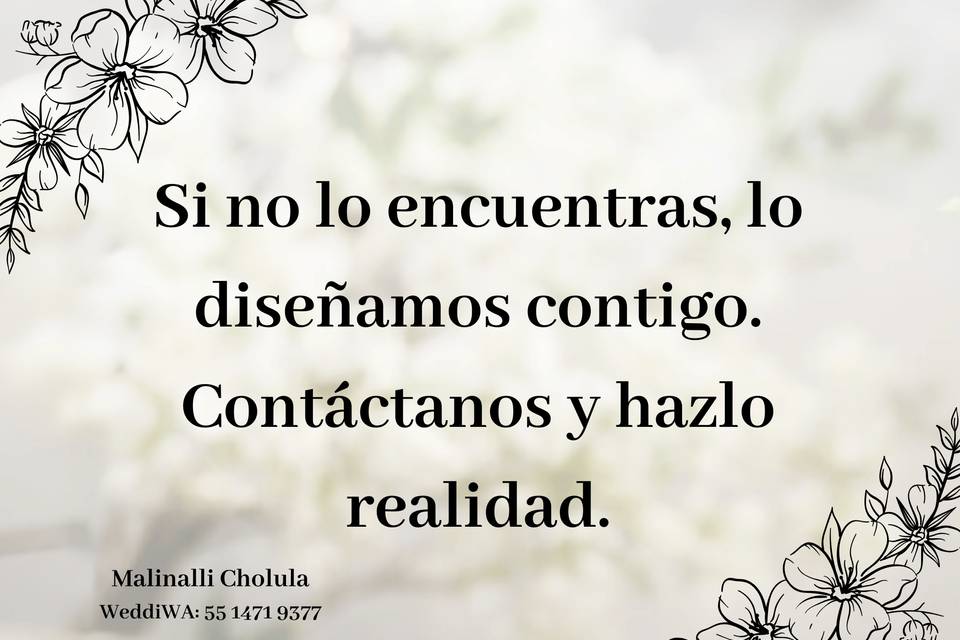 Contactanos
