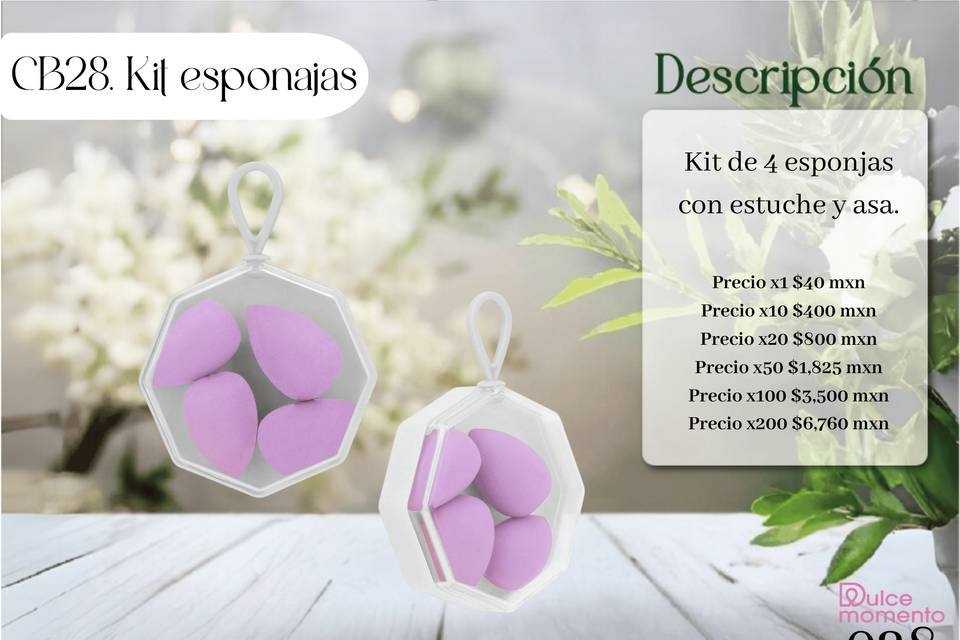 ESPONJAS MORADAS