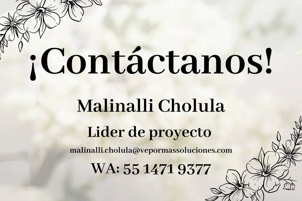 Contactanos