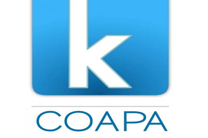 Logo Kinkayou Coapa