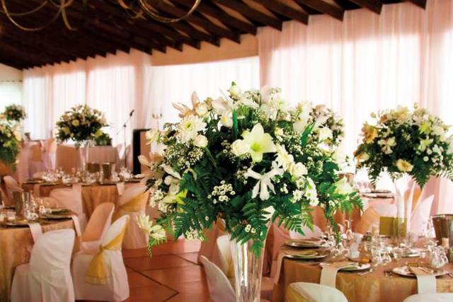 Hermosos eventos