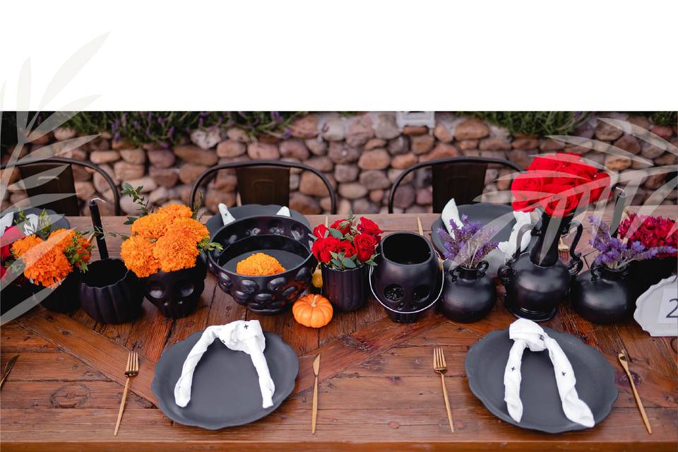 Evento catrinas en San Lucas