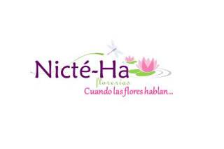 Florería Nicte Ha